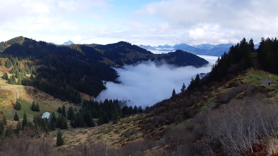 Obermaiselstein 2019 (20)